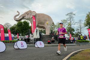 BIB: 
                            <button type="button" onclick="openModal(26528738)" class="btn btn-primary btn-sm float-right btn-popup" data-toggle="modal" data-target=".modal-high-quality">
                        <i class="fas fa-shopping-cart"></i> Add to Cart
                    </button>
                                            <button type="button" onclick="isThisMe(26528738, true)" class="btn btn-success btn-sm float-right btn-popup btn-isme hidden" data-toggle="tooltip" data-placement="bottom" title="นี่คือรูปของคุณใช่ไหม คลิกที่นี่เพื่อเอาเข้าอัลบั้ม">
                        <i class="fas fa-plus"></i> Add to album
                    </button>
                    <button type="button" onclick="isThisMe(26528738, false)" class="btn btn-warning btn-sm float-right btn-popup btn-isnotme hidden">
                        <i class="fas fa-ban"></i> Remove from album
                    </button>